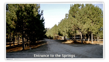 Cartwright Springs - Entrance