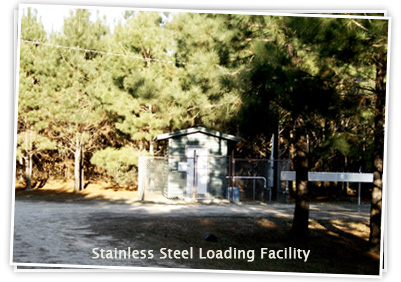 Cartwright Springs, LTD