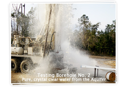 Cartwright Springs, LTD