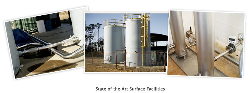 Cartwright Springs - Water Quality